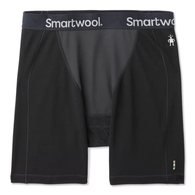 Smartwool Merino Sport 250 Wind Brief Homme-Plein Air Entrepôt