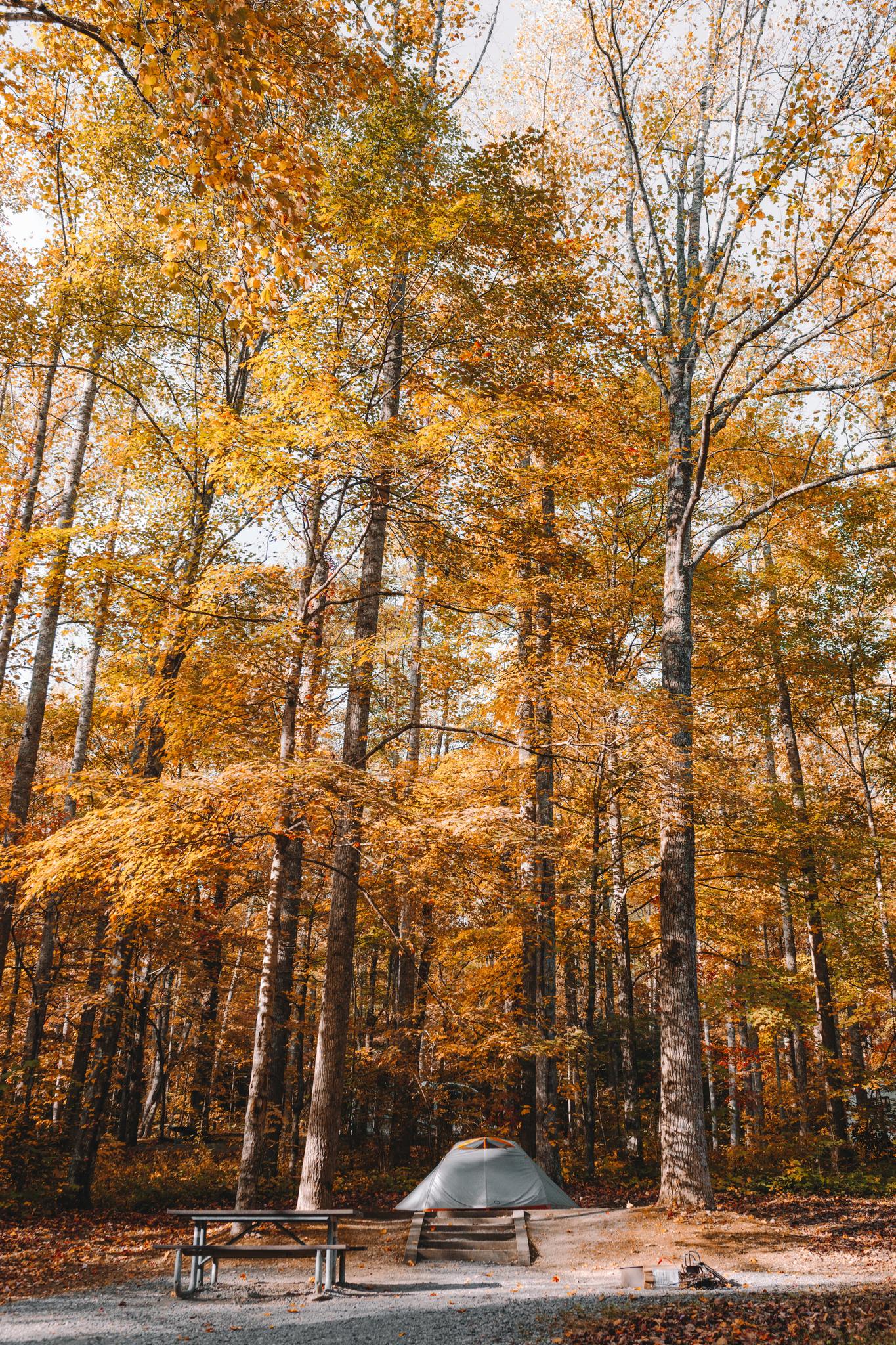 Tente camping automne