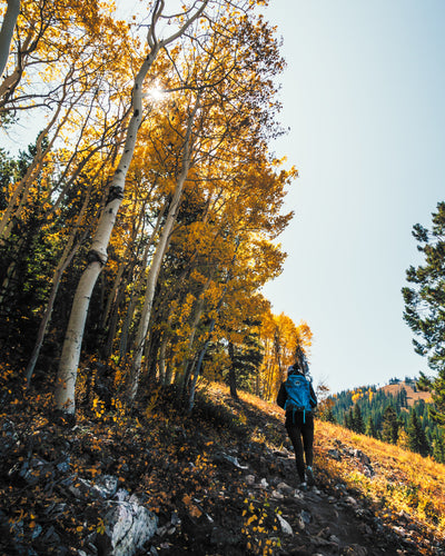 Top 10 must-haves for fall hiking