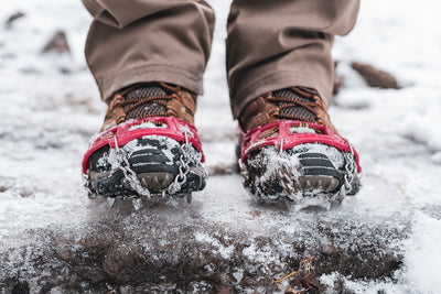 Ice Trekkers