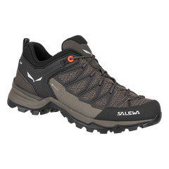 Chaussures de randonée Salewa Mountain Trainer Lite GTX Femmes - Plein air Entrepôt