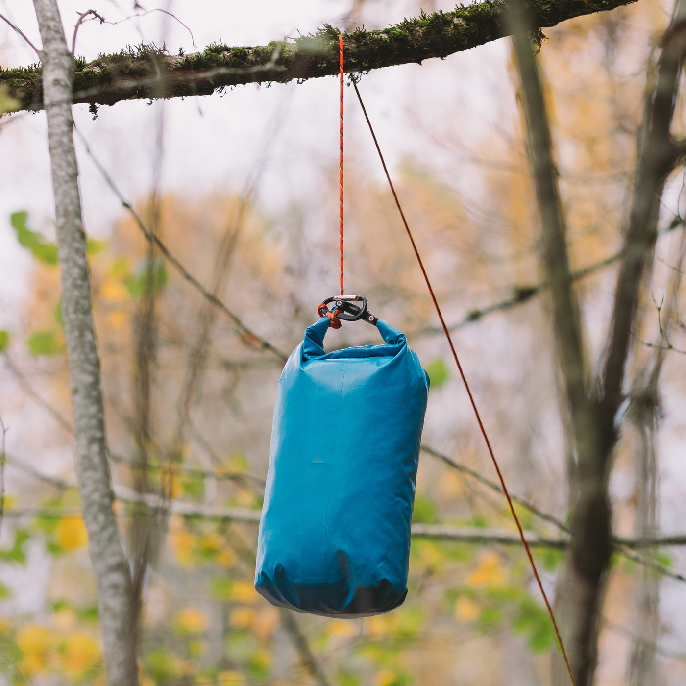 Gear Aid 550 Paracord 100ft - Plein Air Entrepôt