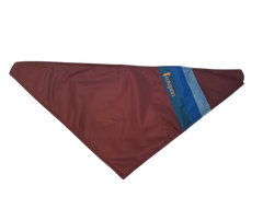 Bandana Cotopaxi Teca Fleece - Plein Air Entrepôt