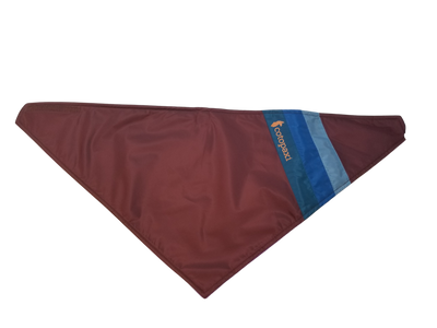 Cotopaxi Bandana Teca Fleece