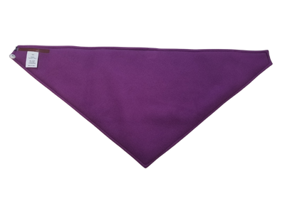 Cotopaxi Bandana Teca Fleece