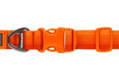 Collier pour chien Ruffwear Front Range - Plein air Entrepôt