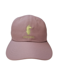 Casquette Cotopaxi Dad Hat - Plein Air Entrepôt