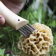 Opinel Couteau Champignon - Plein Air Entrepôt