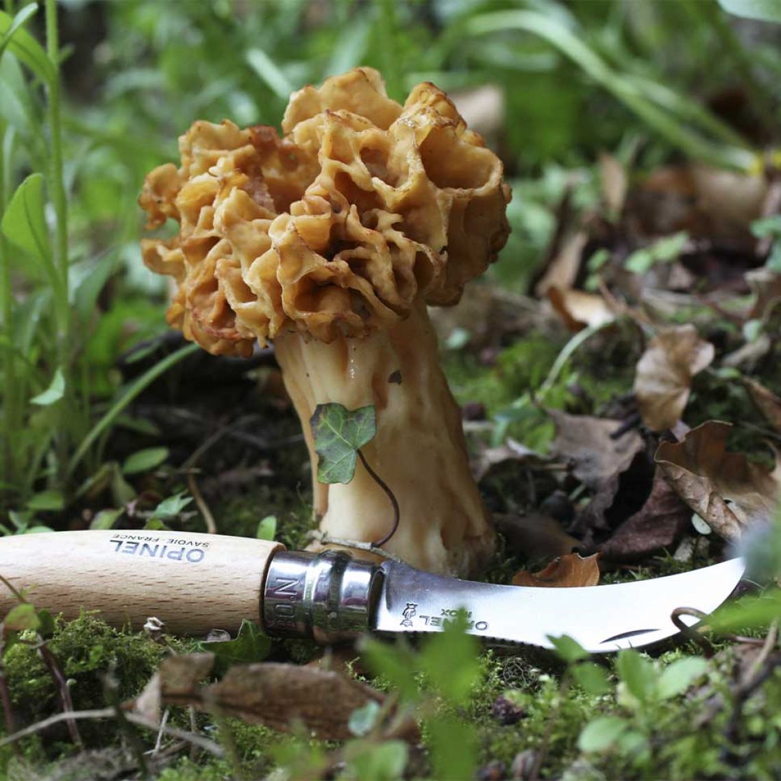 Opinel Couteau Champignon - Plein Air Entrepôt