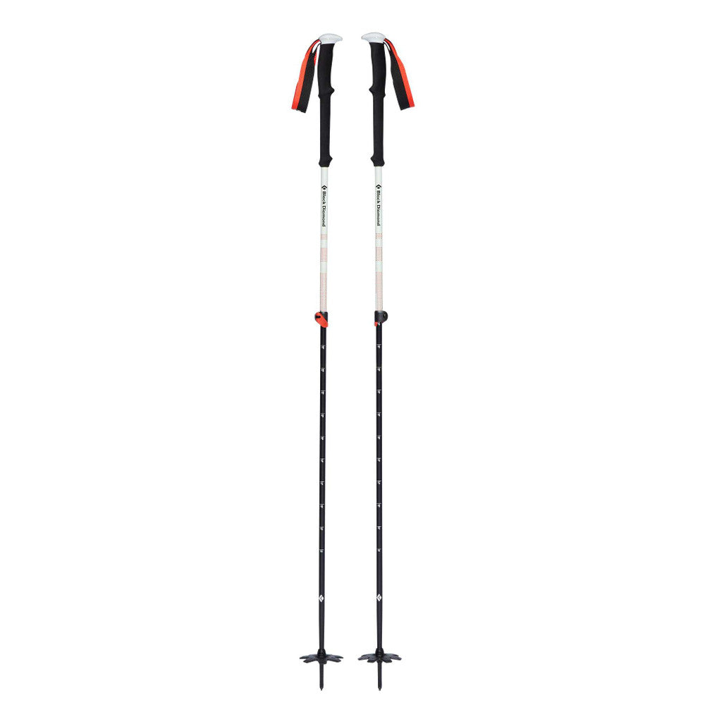 Black Diamond Ski pole Expedition 2 155cm