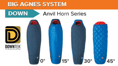 Sac de couchage Big Agnes Anvil Horn 15 -10°C Long