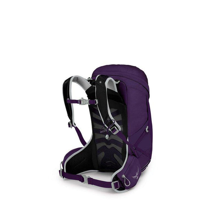 castle modular motorcycle helmets X CX950 V2 Fierce Electric Helmet Matte Black/Grape / MD lens backpack COLOR:Asphalt 1968 Schwinn Stingray Schwinn CastleX Mode MX Flow