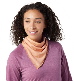 Smartwool Merino 150 PB Bandana - Plein Air Entrepôt