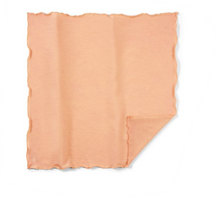Smartwool Merino 150 PB Bandana - Plein Air Entrepôt